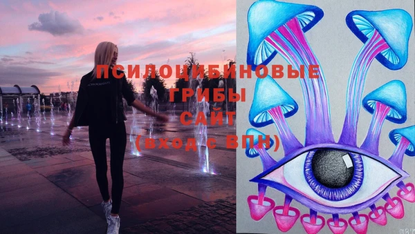ешки Волосово