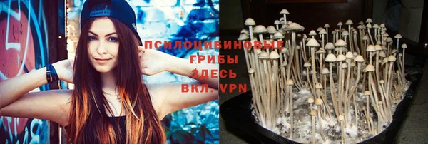 ешки Волосово